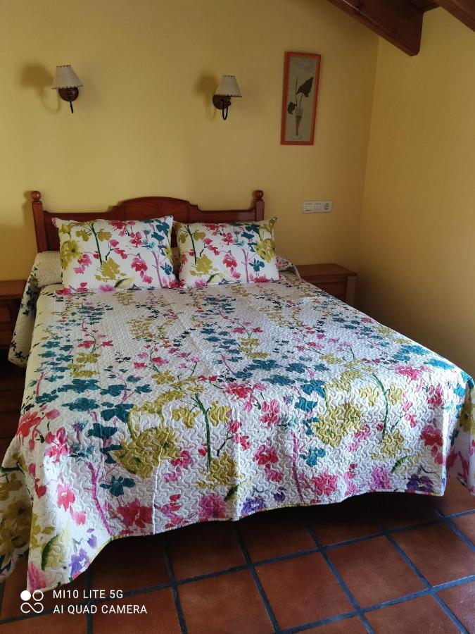 Villa Casa A Ruata à Torla Extérieur photo